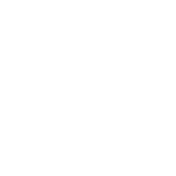 Logo Van Wanssum Wit